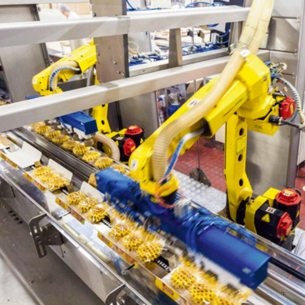 Manipulare roboti industriali2